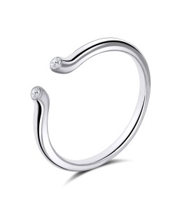 Silver Ring NSR-2624